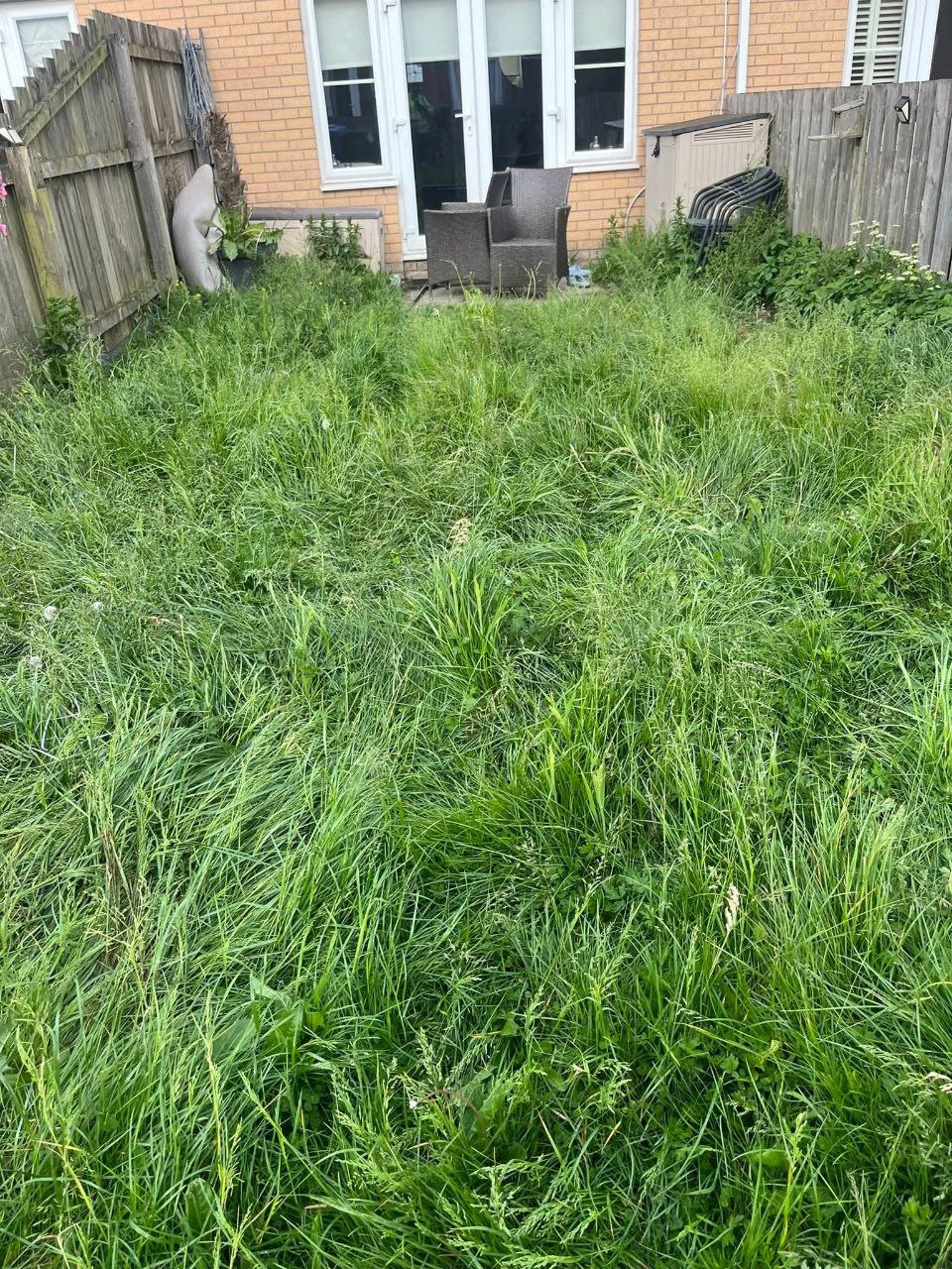 Gallery image 17