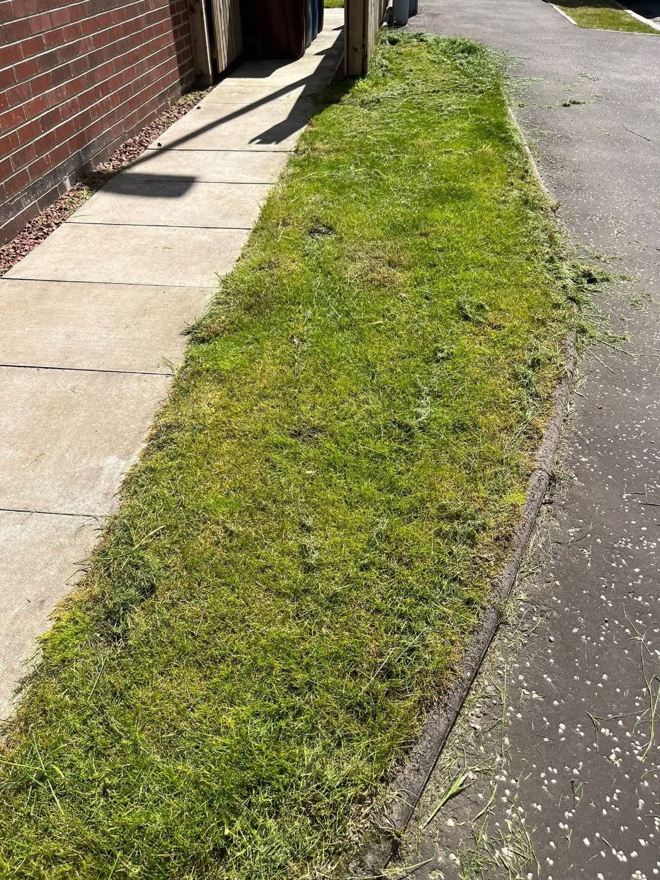 Gallery image 18