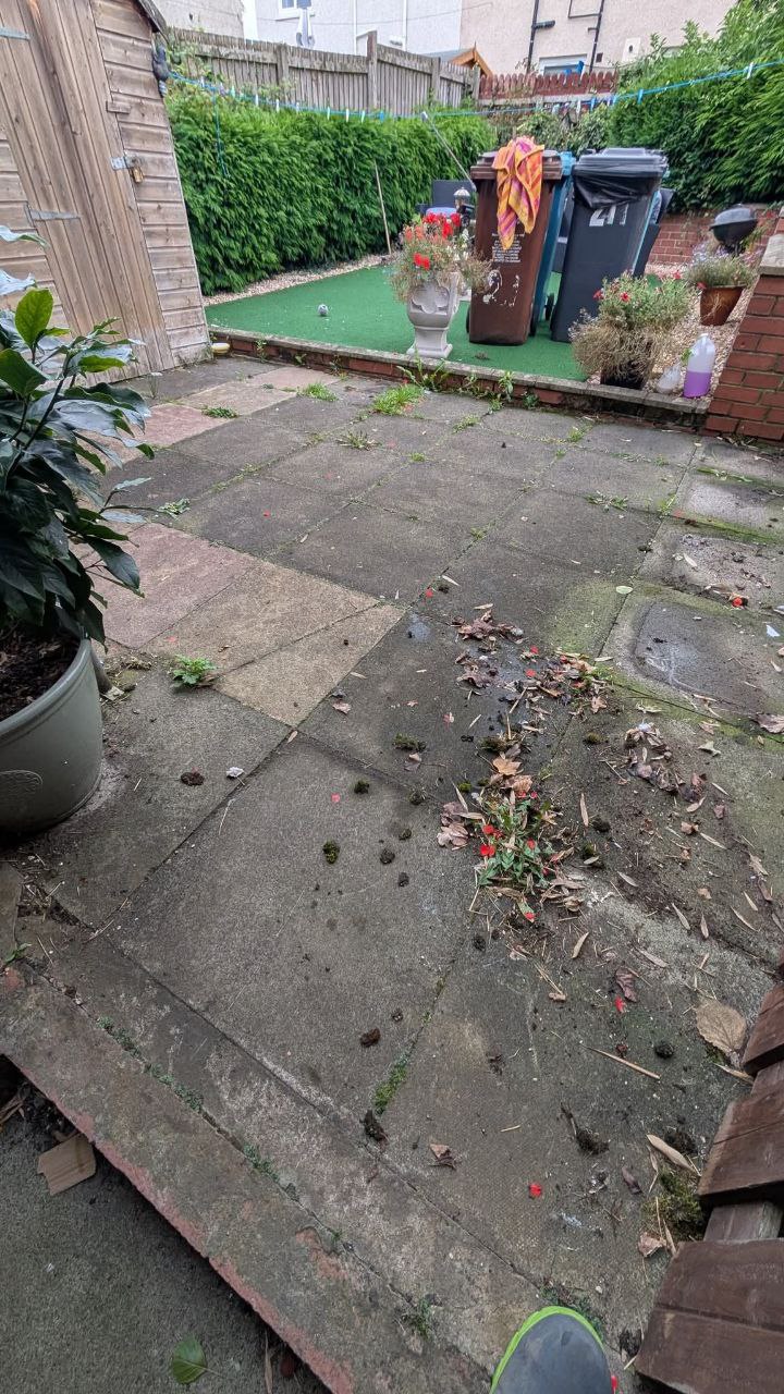 Gallery image 27